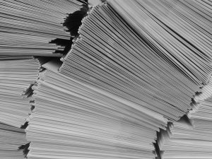 UE zur BP-Wahl: Alles in Ordnung, … fast! (23.8.2022)