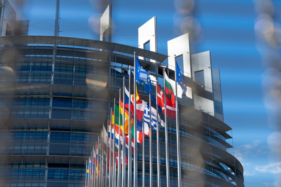 Programm für die EU-Wahl 2024 (11.10.2023)